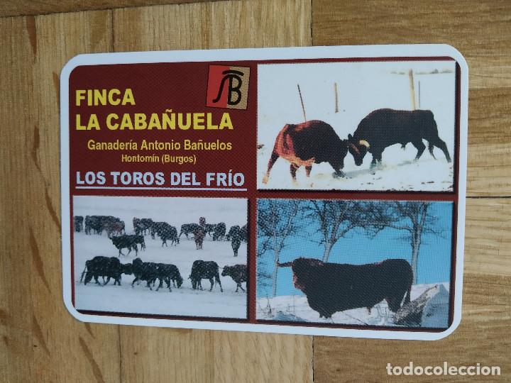 Coleccionismo calendarios: CALENDARIO TOROS. TAURINO. FINCA LA CABA&Ntilde;UELA. ANTONIO BA&Ntilde;UELOS. LOS TOROS DEL FRIO. A&Ntilde;O 2005