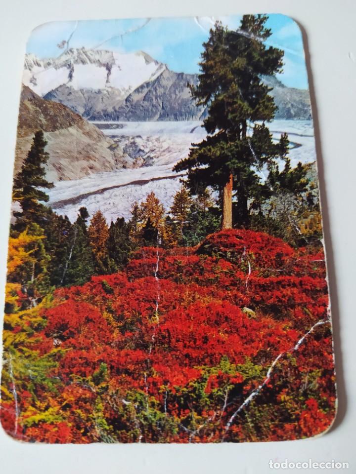 Coleccionismo calendarios: CALENDARIO PAISAJE 1975 DE BAR ELVIRA DE TRASONA