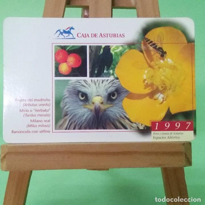 Collectionnisme Calendriers: CALENDARIO DE BOLSILLO - CAJA ASTURIAS 1997 - ESTADO EXCELENTE - - T2