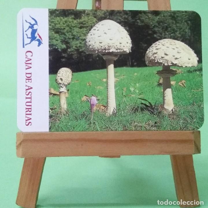 Collezionismo Calendari: CALENDARIO DE BOLSILLO - CAJA ASTURIAS 1996 - ESTADO EXCELENTE - - T2
