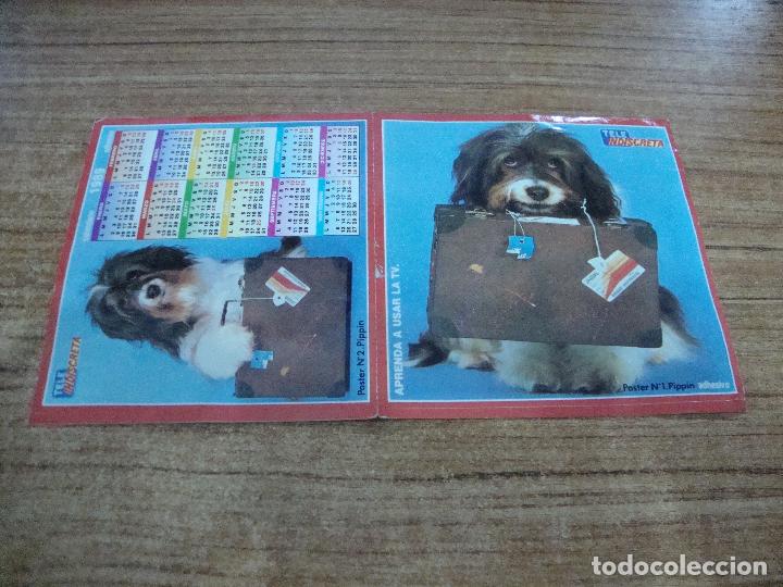 Collectables Calendars: CALENDARIO PEGATINA TELE INDISCRETA PIPPIN