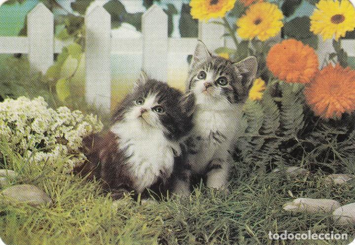 Coleccionismo Calendarios: CALENDARIO BOLSILLO 1993 / CESTA NAVIDAD: BAR BARACALDES - BILBAO