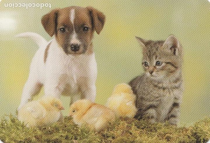 Colecionismo Calend&aacute;rios: CALENDARIO bolsillo -A&Ntilde;O 2013 - KIOSKO CLAVE - TARRAGONA - ANIMALITOS - PUBLICITARIO - NUEVO