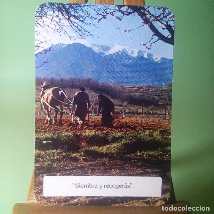 Coleccionismo Calendarios: CALENDARIO BOLSILLO - FRASE PAISAJE 1981 A&Ntilde;O INTERNACIONAL DEL MINUSVALIDO - T2