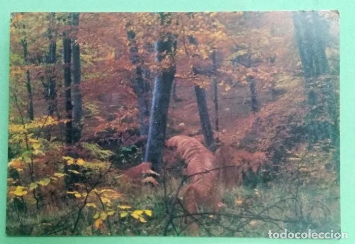 Colecionismo Calend&aacute;rios: CALENDARIO BOLSILLO BIZKAIA 2005 - Diputaci&oacute;n Foral de Bizkaia T2