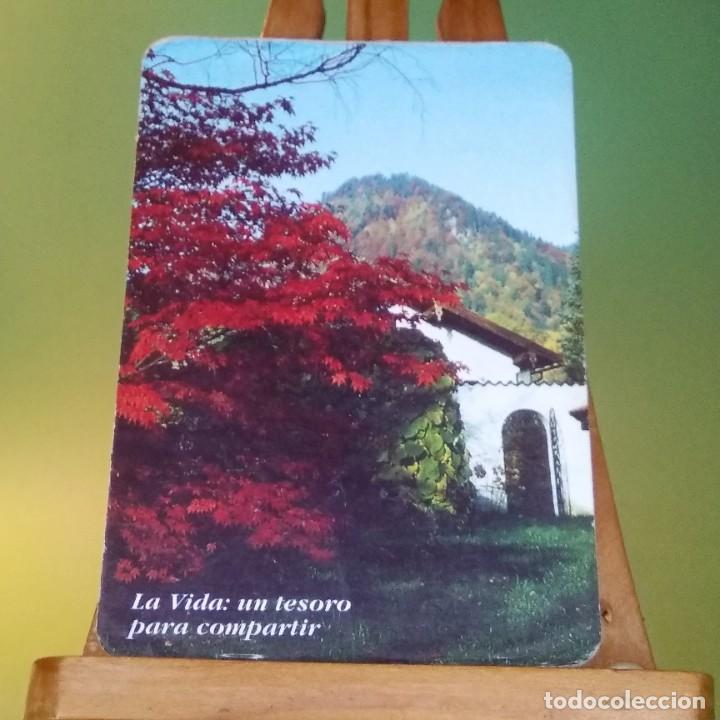Coleccionismo Calendarios: CALENDARIO - FRASES, PAISAJE HERMANOS SAN JUAN DE DIOS 1999 - T2