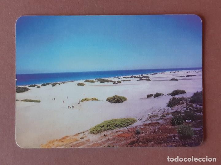 Sammeln von Kalendern: CALENDARIO 2008 DUNAS MASPALOMAS. BRAUMIG G.C. 078. CASTA&Ntilde;ARES. PLAYA DEL INGLES. GRAN CANARIA.