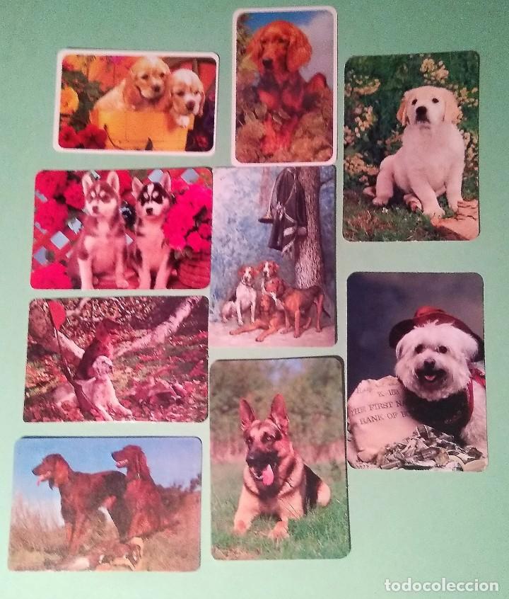 Colecionismo Calend&aacute;rios: CALENDARIO PERROS 9 UNIDADES - A&Ntilde;OS 80/90/00 - T2