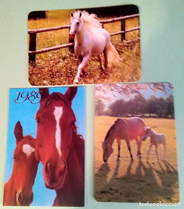 Colecionismo Calend&aacute;rios: CALENDARIO CABALLOS 3 UNIDADES - A&Ntilde;O 80/90/00 - CHECO Y PORTUGUES- T3