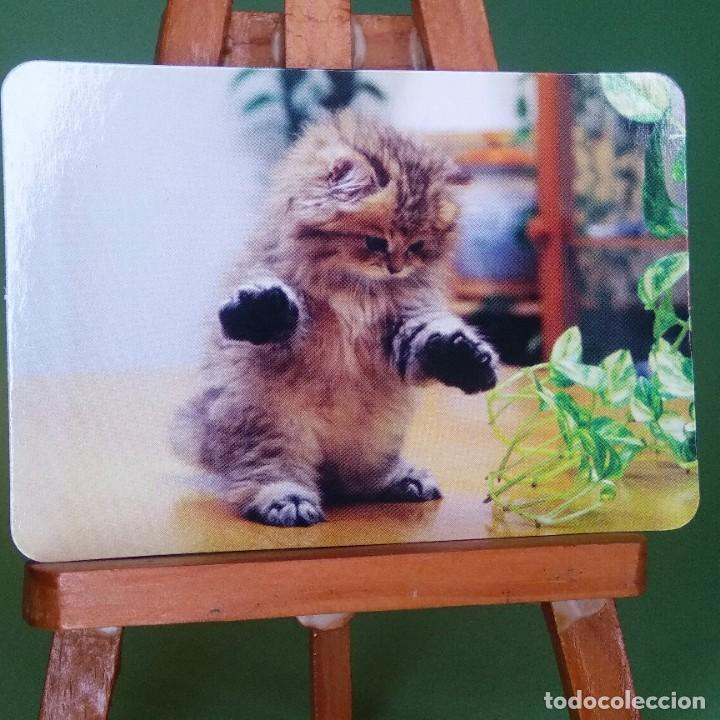 Colecionismo Calend&aacute;rios: CALENDARIO GATOS 2012 . BAR VICTORIA . VALDELARCO . HUELVA * BO 537 - T3