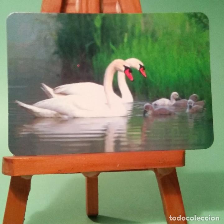 Colecionismo Calend&aacute;rios: CALENDARIO CISNE 2009 * CON PUBLICIDAD * L 156 - T3