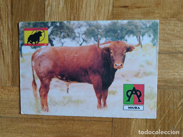 Coleccionismo calendarios: CALENDARIO PUBLICITARIO. TAURINO. TOROS. OBANOS. NAVARRA. A&Ntilde;O 2009. VER FOTOS