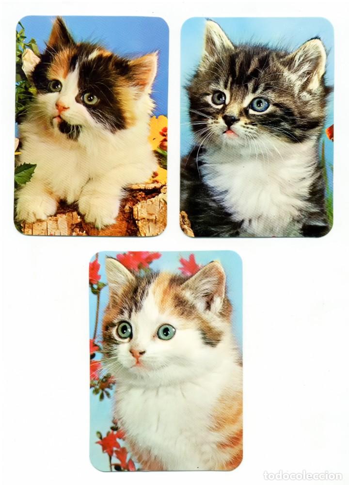 Coleccionismo calendarios: 3 CALENDARIOS DE BOLSILLO GATOS A&Ntilde;O 1974 GATITOS ALMANAQUE PERFECTO ESTADO