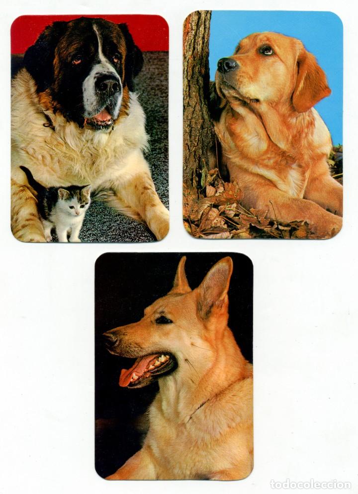 Coleccionismo calendarios: 3 CALENDARIOS DE BOLSILLO PERROS A&Ntilde;O 1973 / 74 ALMANAQUE PERFECTO ESTADO