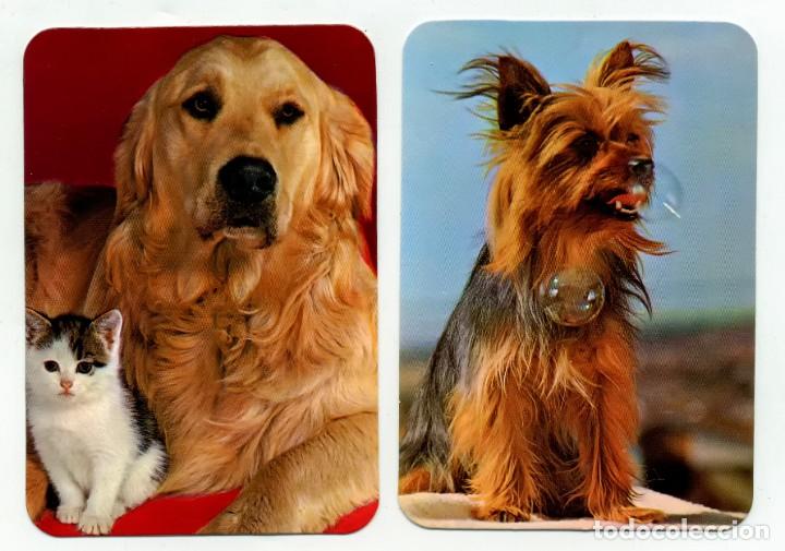 Coleccionismo calendarios: 2 CALENDARIOS DE BOLSILLO PERROS A&Ntilde;O 1974 PERFECTO ESTADO ALMANAQUE