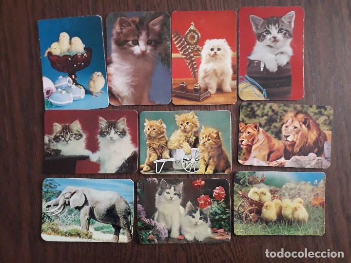 Coleccionismo Calendarios: lote de 10 calendarios de serie de animales, gatos, pollitos, leones...a&ntilde;os 70