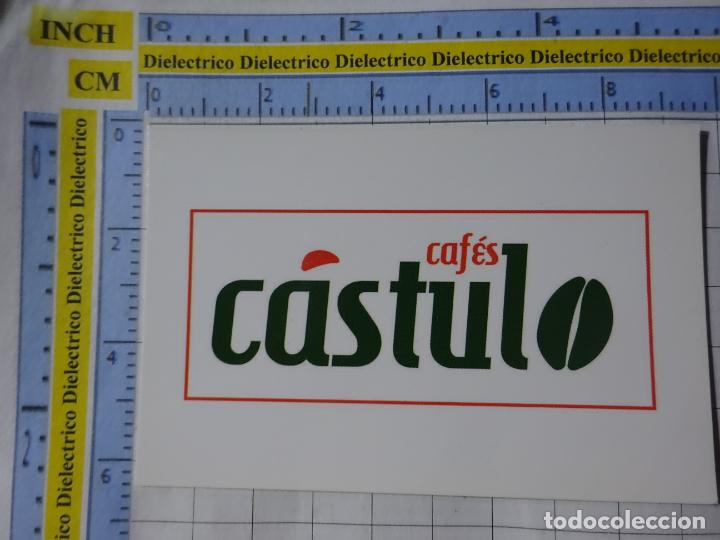 Collectables Calendars: CALENDARIO DE BOLSILLO. A&Ntilde;O 2019. CAF&Eacute; CAF&Eacute;S C&Aacute;STULO