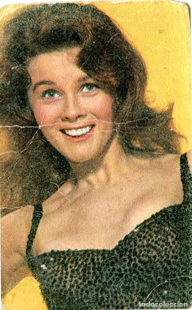Coleccionismo calendarios: CALENDARIO NO FOURNIER. CERVEZA LA ZARAGOZANA. A&Ntilde;O 1967. . NUM. 261. ANN MARGRET.