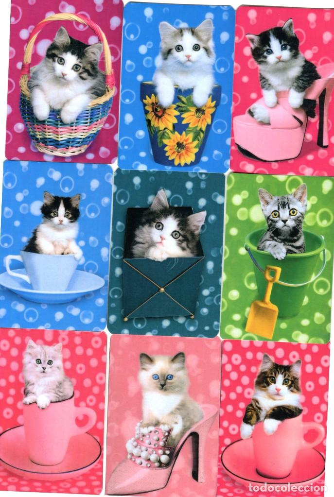 Coleccionismo calendarios: COLECCION DE 18 CALENDARIOS DE BOLSILLO DE GATOS A&Ntilde;O 2015 TEMA: ANIMALES