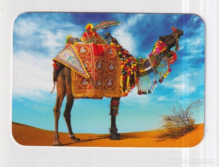 Collectionnisme Calendriers: Calendario sin publicidad del a&ntilde;o 2019 Casa Edija N&ordm; 213 Cuadro Camello Desierto en esp