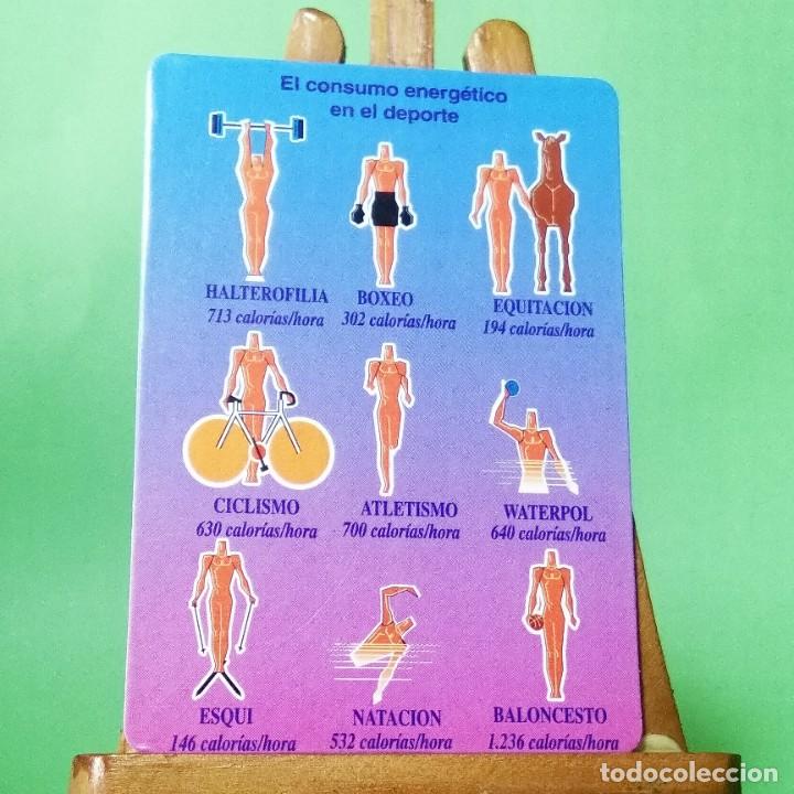 Coleccionismo Calendarios: CALENDARIO CONSUMO ENERGETICO EN LOS DEPORTES. 1997 - T3