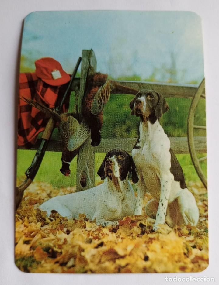 Coleccionismo calendarios: Calend&aacute;rio de bolsillo perros, 1983. Portugal