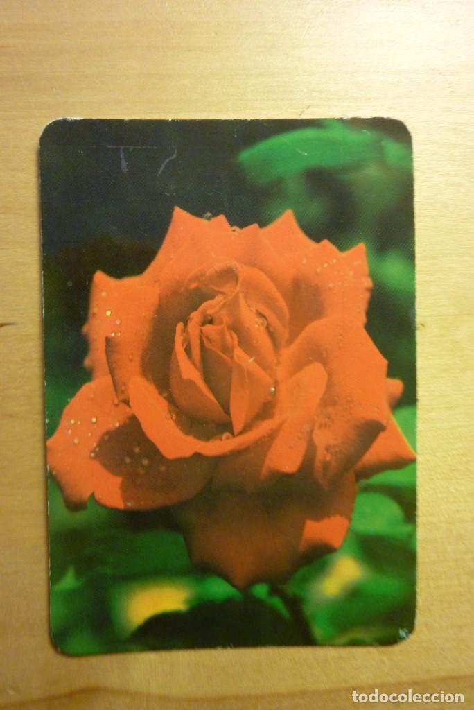 Collezionismo Calendari: Calendario Flor A&ntilde;o 1994 Xavier Carbon&eacute;s camiser Barcelona