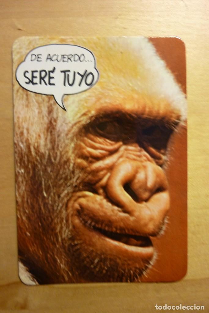 Collezionismo Calendari: Calendario Gorila Copito de nieve A&ntilde;o 1989 Peluquer&iacute;a est&eacute;tica Mabel II Alcal&aacute; de Henares