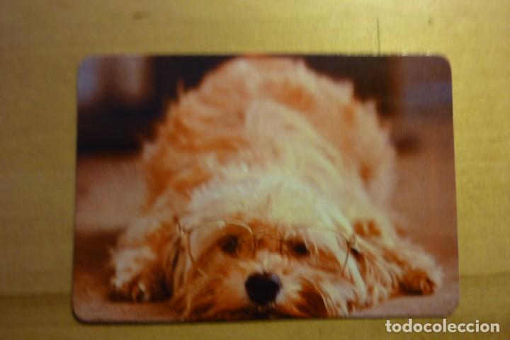 Collezionismo Calendari: Calendario Perro con gafas A&ntilde;o 1987 Christy Disfraces Alcal&aacute; de Henares