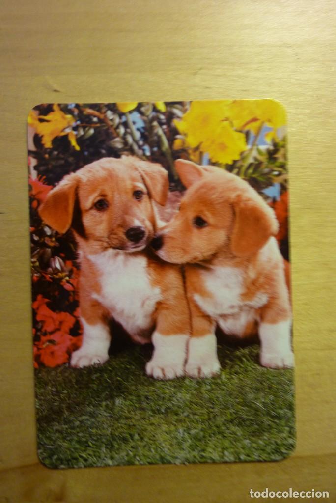 Coleccionismo Calendarios: Calendario Cachorros Perros A&ntilde;o 1990 R&aacute;pido Gaud&iacute; reparaciones calzado Barcelona