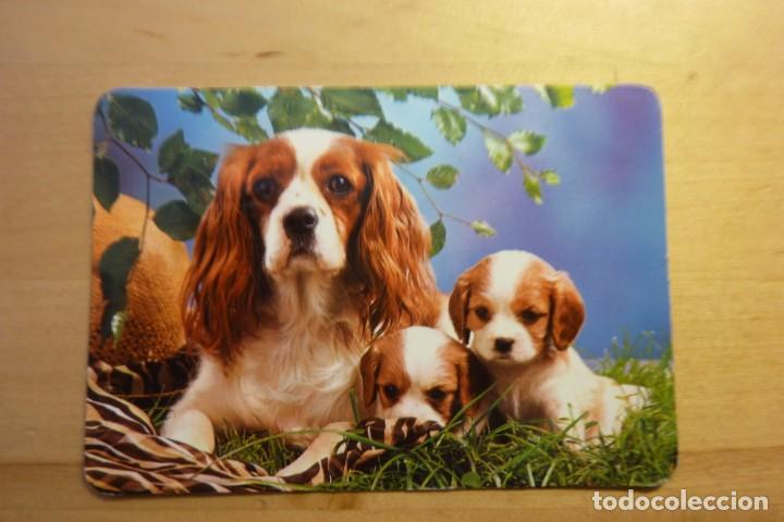 Sammeln von Kalendern: Calendario Perro adulto con dos cachorros A&ntilde;o 1987 Confecciones Goyger R. Goy Alcal&aacute; Torrej&oacute;n