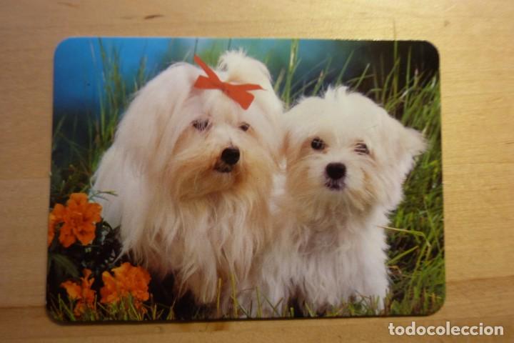 Sammeln von Kalendern: Calendario Perros cachorros A&ntilde;o 1991 Mat&iacute;as Sanz Peluquer&iacute;a Perfumer&iacute;a Alcal&aacute; de Henares