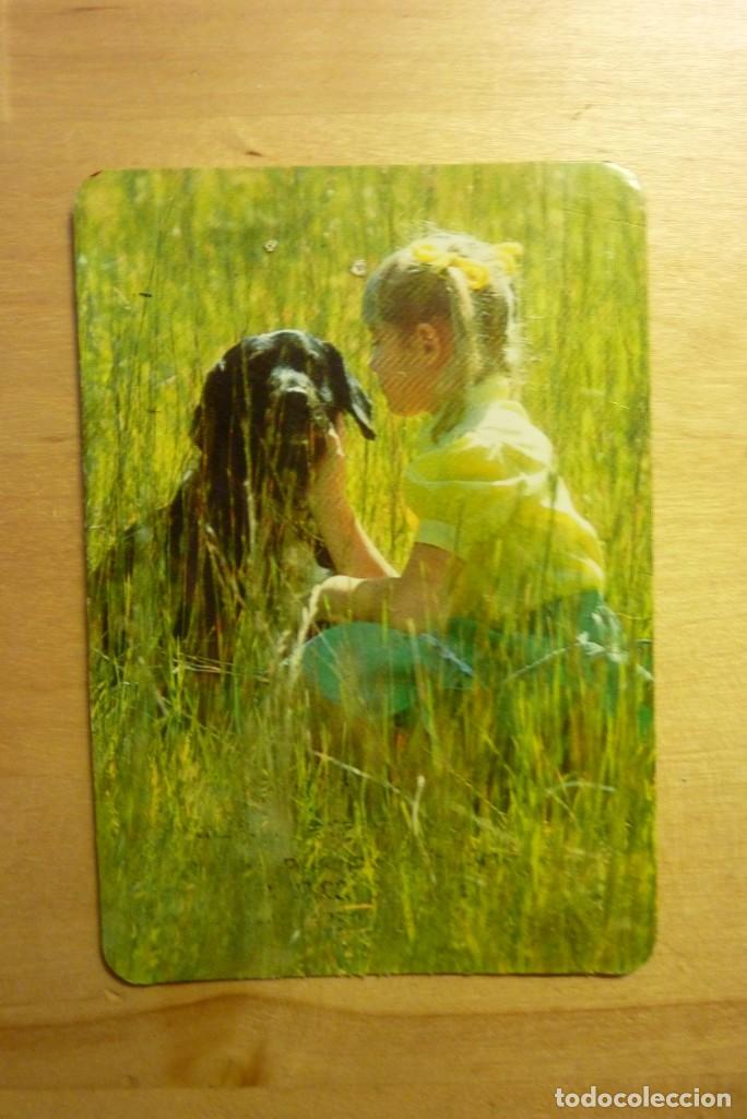 Sammeln von Kalendern: Calendario Ni&ntilde;a con perro A&ntilde;o 1984 Paco el r&aacute;pido Fontanero Maestro alba&ntilde;il Alcal&aacute; de Henares