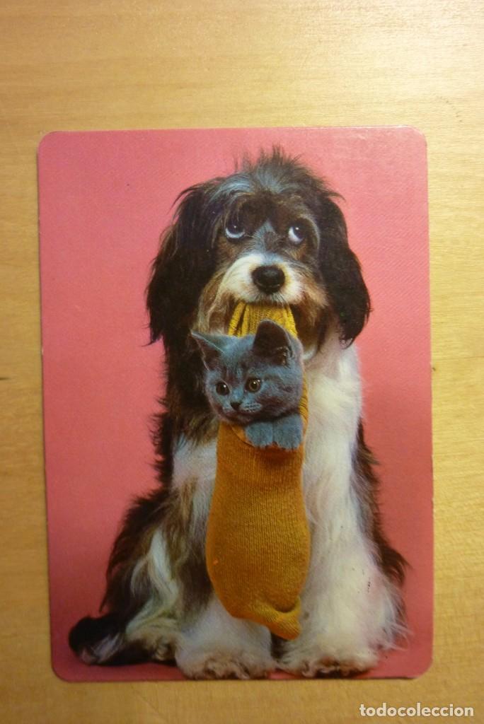 Sammeln von Kalendern: Calendario Perro y gato cachorros A&ntilde;o 1987 Karui Weider Santonja