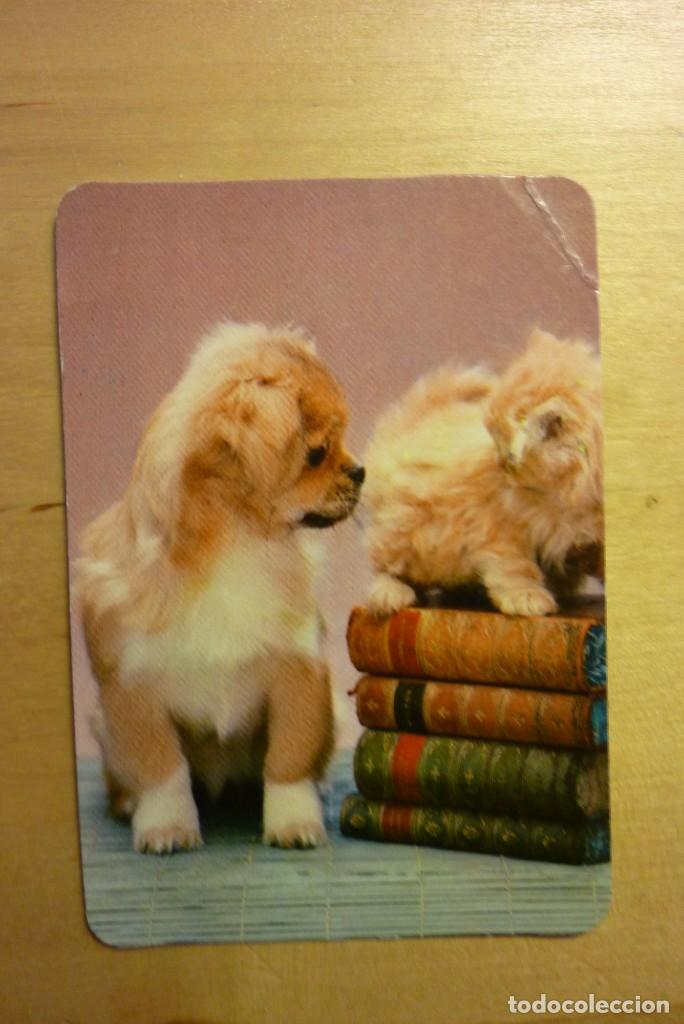Sammeln von Kalendern: Calendario Perro y gato cachorros A&ntilde;o 1984 Casa Box Imprenta Librer&iacute;a Sig&uuml;enza Guadalajara