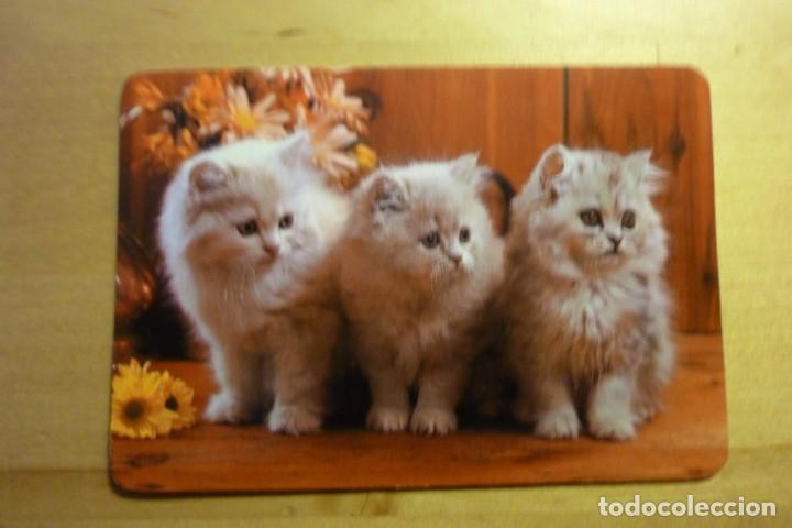 Sammeln von Kalendern: Calendario Tres gatos Gatitos A&ntilde;o1986 Reuni&oacute;n Servicios T&eacute;nicos Reunidos Alcal&aacute; de Henares