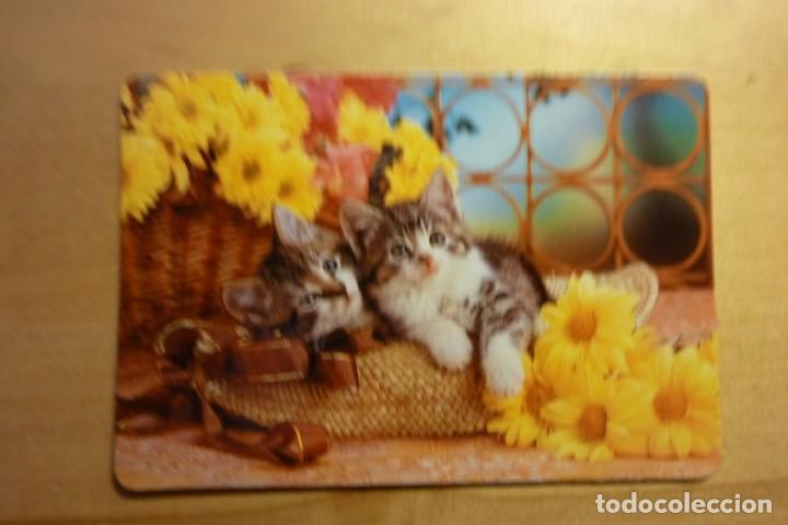 Sammeln von Kalendern: Calendario Dos gatos Gatitos A&ntilde;o1992 Hnos. Montero Frutos Secos Alcal&aacute; de Henares