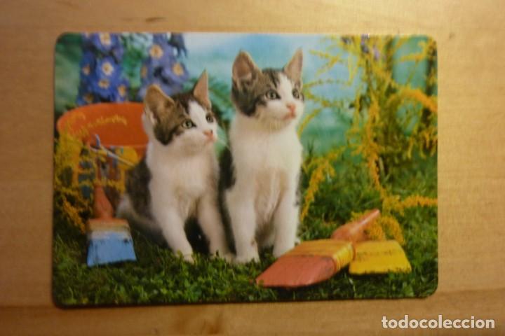 Sammeln von Kalendern: Calendario Dos gatos Gatitos A&ntilde;o1986 Carpinter&iacute;a Ebanister&iacute;a Ripemi Marchamalo Guadalajara
