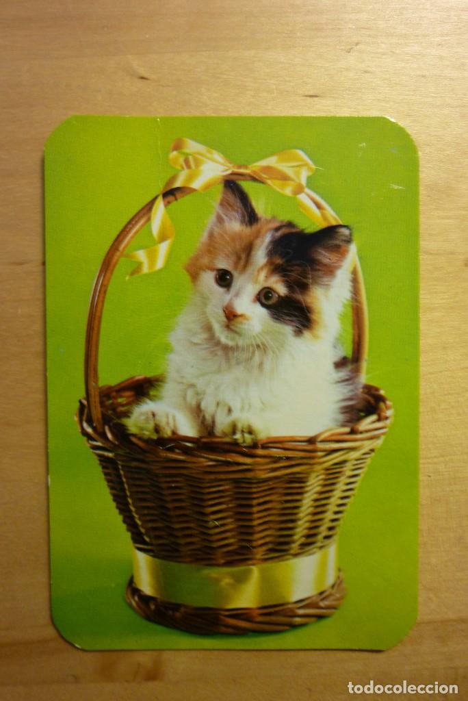 Sammeln von Kalendern: Calendario Gato en cesta Gatito A&ntilde;o 1990 Bar Braser&iacute;a Pedro IV Barcelona