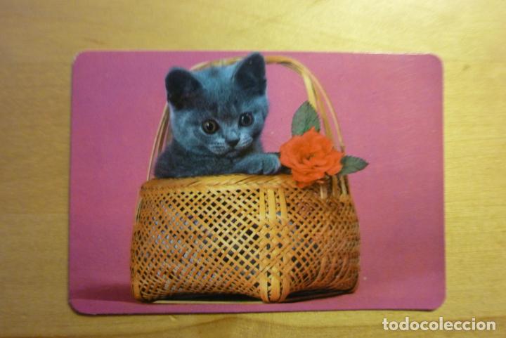 Collezionismo Calendari: Calendario Gato en cesto Gatito A&ntilde;o 1988 Bar El Dorado Alcal&aacute; de Henares
