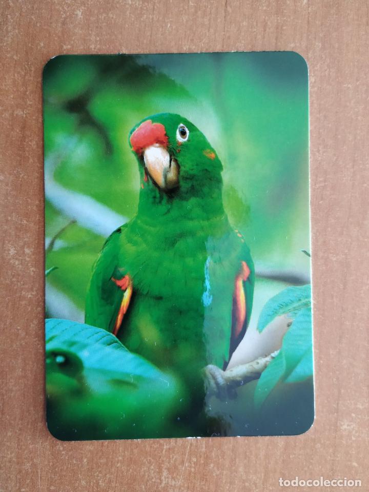 Coleccionismo Calendarios: Calendario Cromolandia P&aacute;jaro Loro. A&ntilde;o 2021.