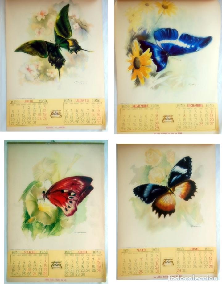 Coleccionismo calendarios: Antiguo Calendario : MARIPOSAS. Publicidad TITAN 1959. COTY (Ilustrador)