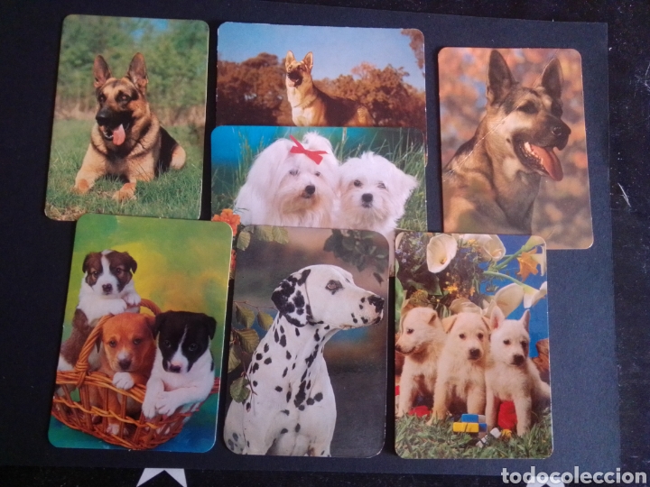 Collezionismo Calendari: LOTE DE 7 CALENDARIOS DE BOLSILLO. TEMA, PERROS.
