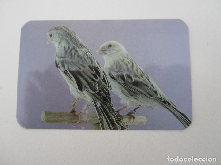 Coleccionismo calendarios: Calendario publicitario p&aacute;jaros 2008