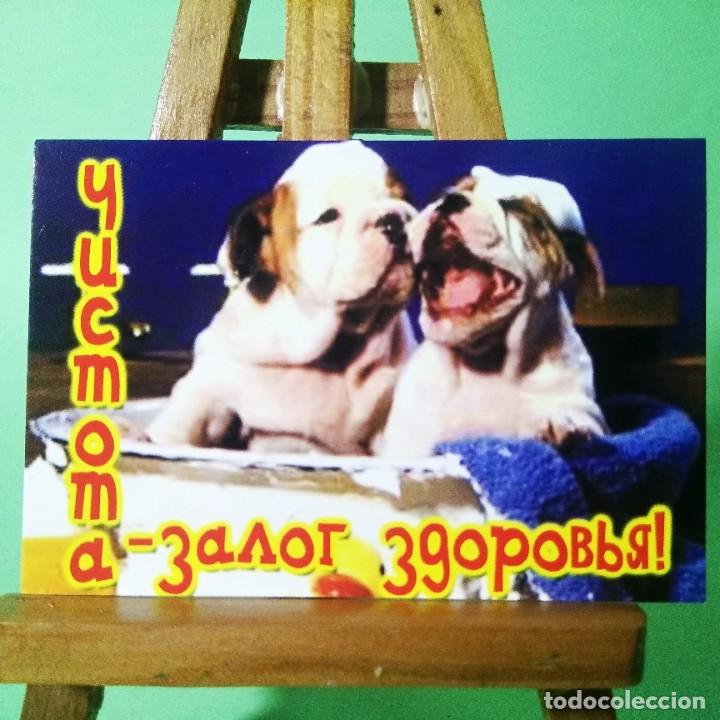 Coleccionismo Calendarios: CALENDARIO - PERROS. FRASES . 2003 . RUSO - T3