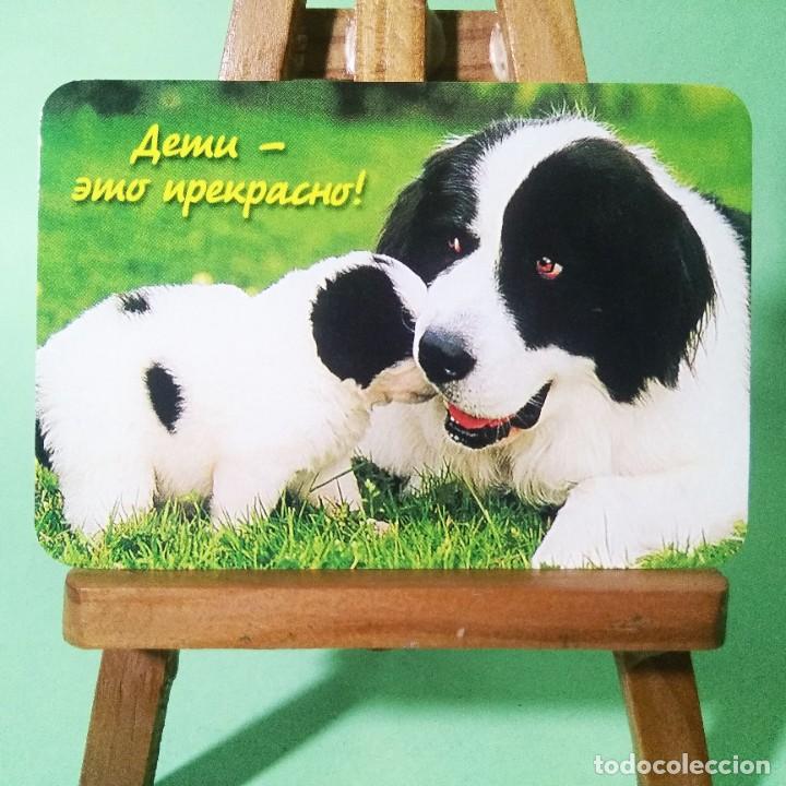 Coleccionismo Calendarios: CALENDARIO - PERROS. FRASES . 2004 . RUSO - T3