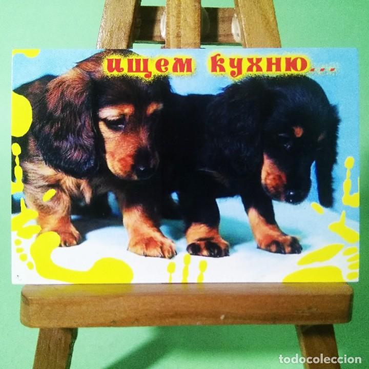 Coleccionismo Calendarios: CALENDARIO - PERROS. FRASES . 2003 . RUSO - T3