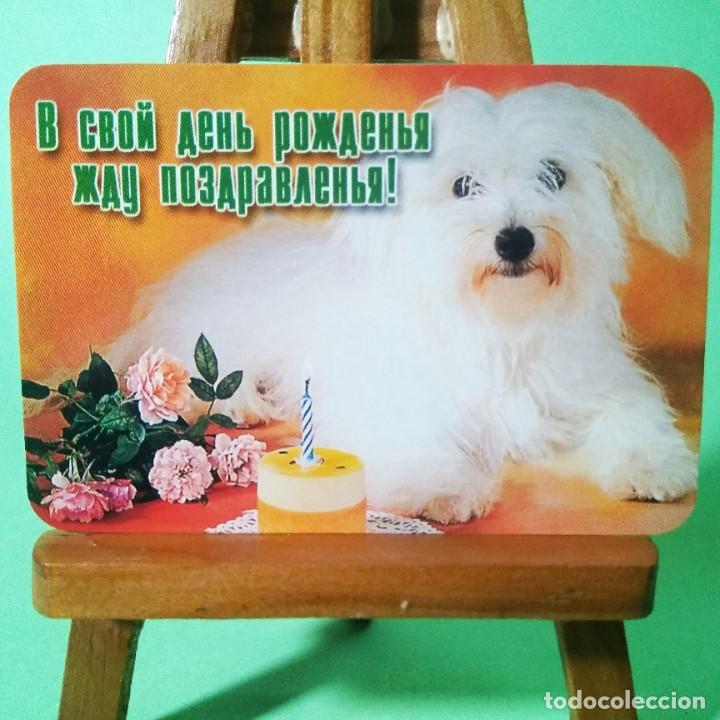 Coleccionismo Calendarios: CALENDARIO - PERROS. FRASES . 2004 . RUSO - T3