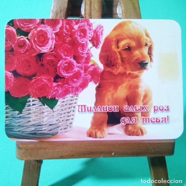 Coleccionismo Calendarios: CALENDARIO - PERROS. FRASES . 2004 . RUSO - T3
