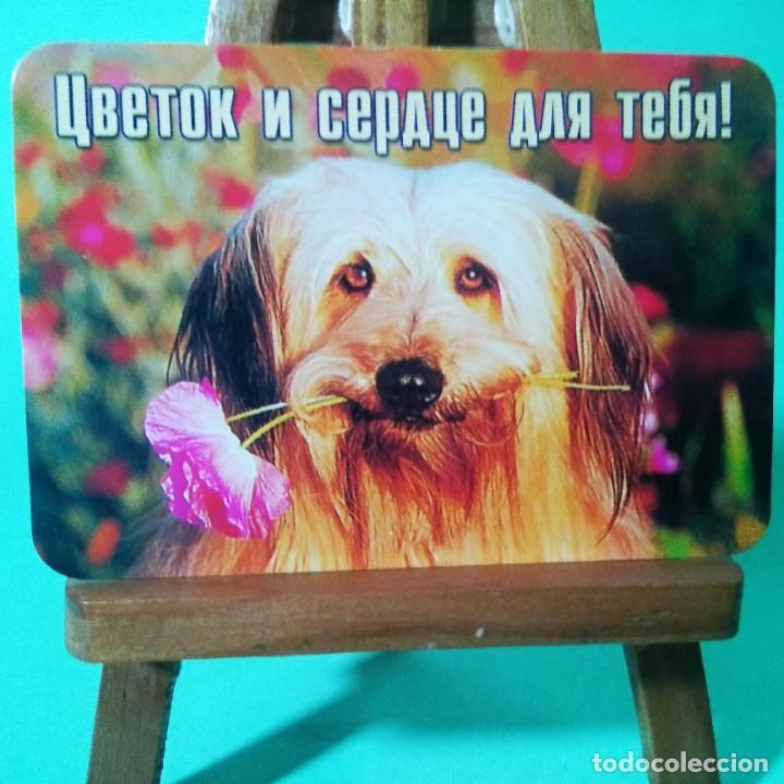 Coleccionismo Calendarios: CALENDARIO - PERROS. FRASES . 2004 . RUSO - T3